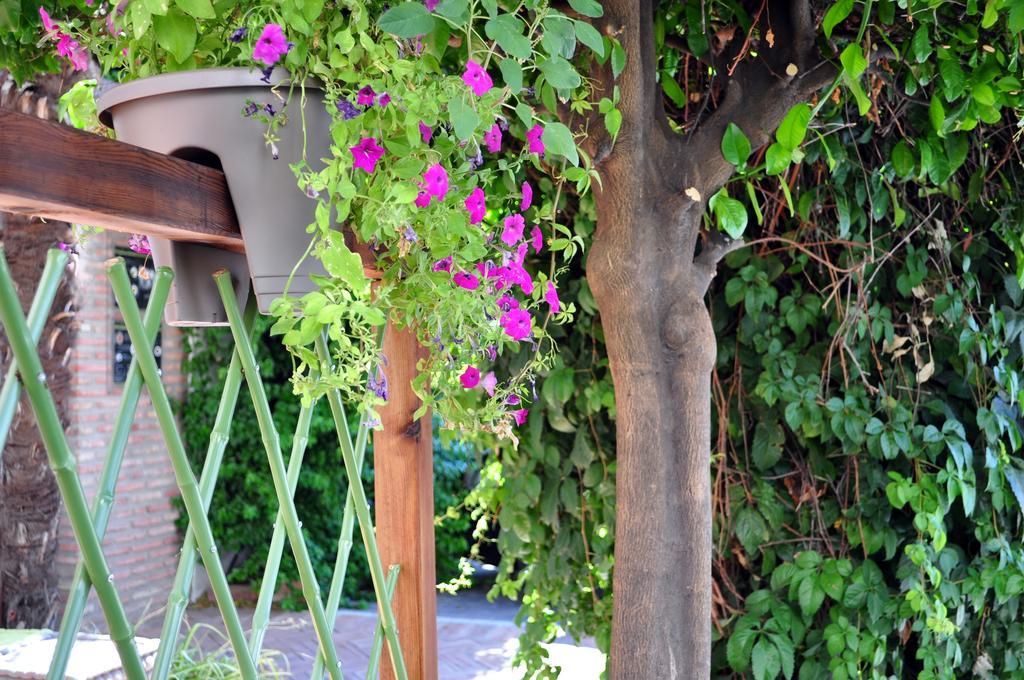 Hotel Oasis Córdoba Kültér fotó